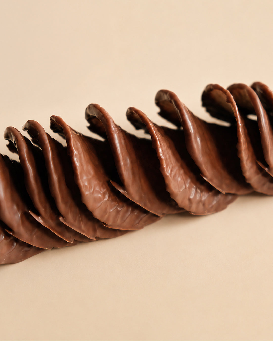 Chocolate Chips